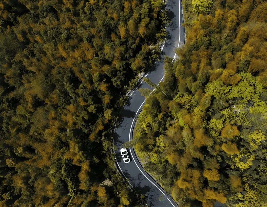 Carbon Neutrality Goals